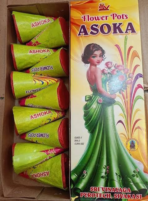 Flower Pots Asoka